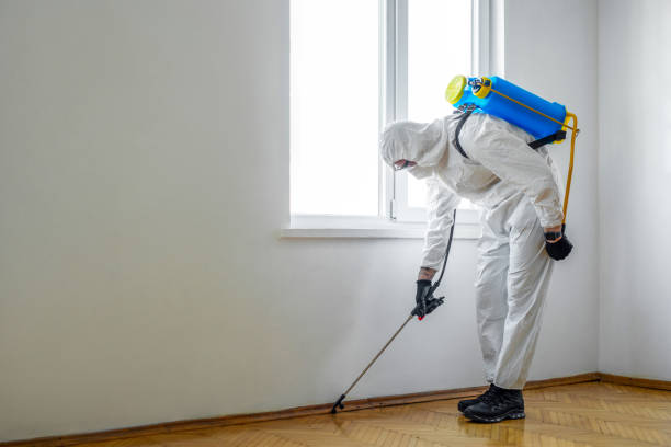 Professional Pest Control in Takoma Park, MD